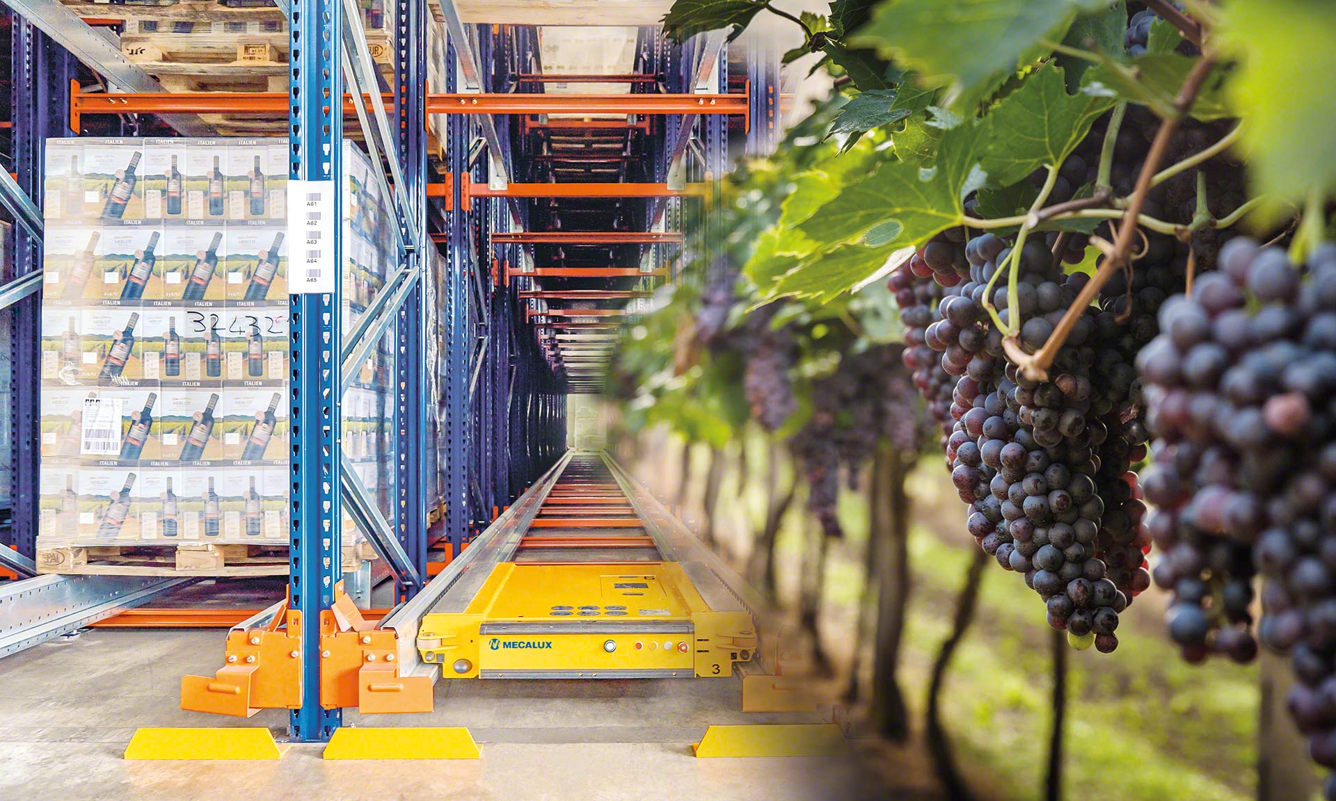 Automatyzacja magazynu zwiększa wydajność i bezpieczeństwo przechowywania wina