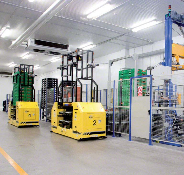 Pojazd sterowany laserowo (LGV) w centrum logistyki i przeładunku przetwórstwa rybnego