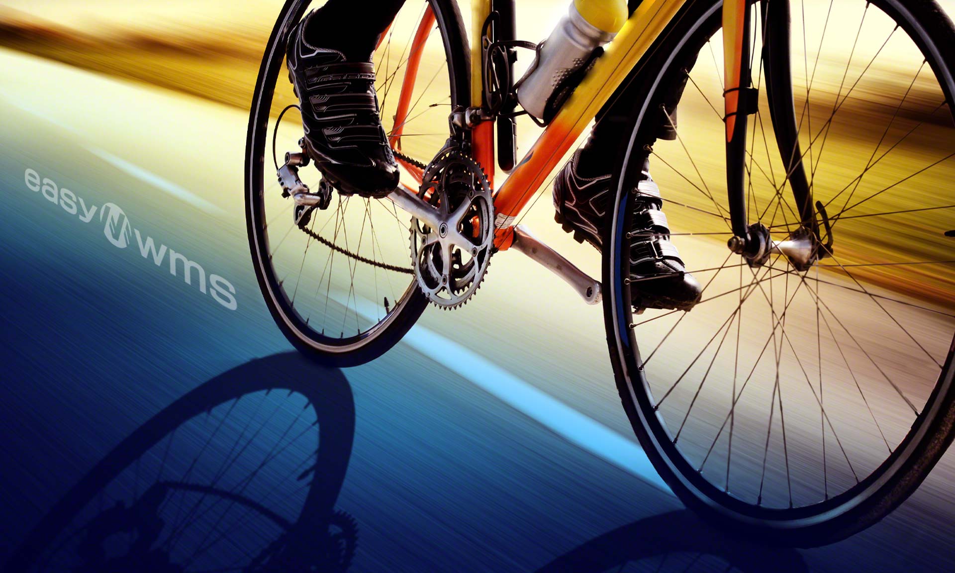 Easy WMS będzie zarządzał magazynem producenta rowerów firmy Denver