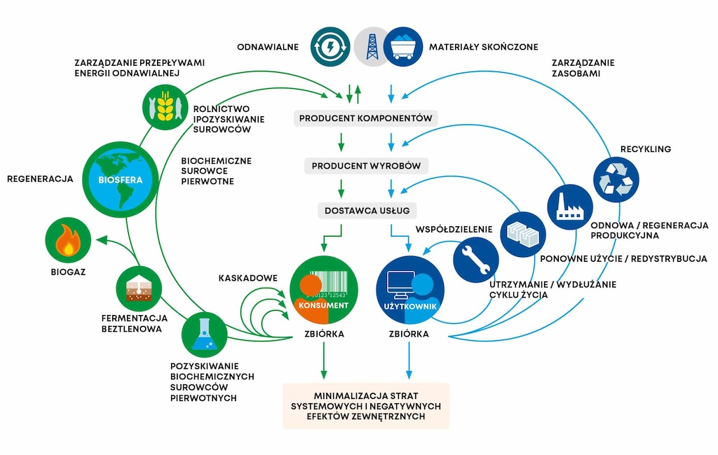 Diagram gospodarki o obiegu zamkniętym w formie motyla opracowany przez Fundację Ellen MacArthur