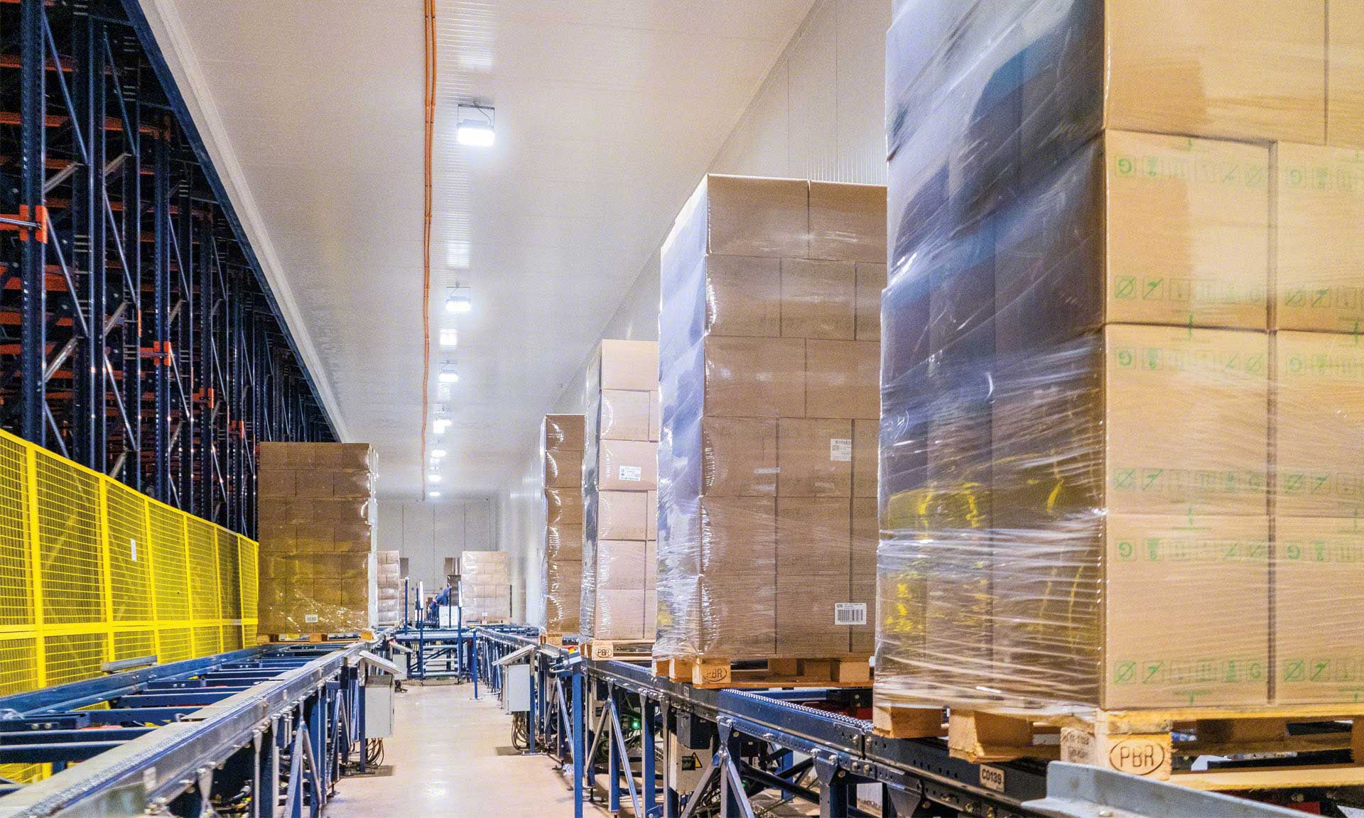 Bem Brasil składuje 500 000 ton frytek rocznie z wykorzystaniem automatycznego systemu Pallet Shuttle Bem Brasil składuje 500 000 ton frytek rocznie z wykorzystaniem automatycznego systemu Pallet Shuttle