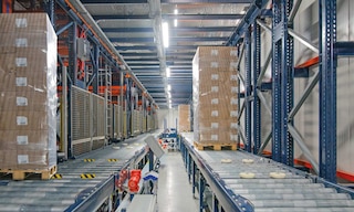 Automatyzacja magazynu Frigo Logistics, lidera logistyki w kontrolowanej temperaturze 3PL w Polsce