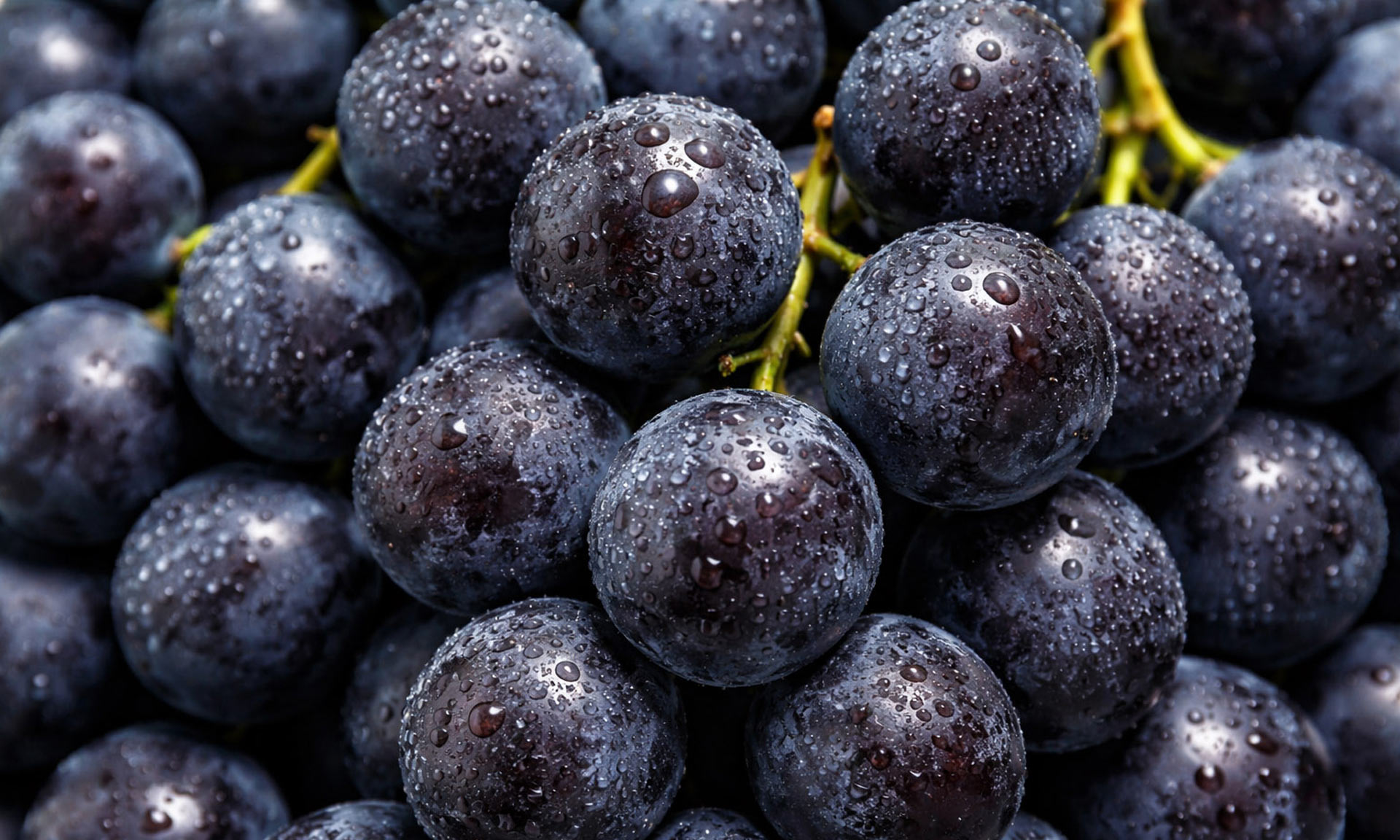NRJ Wines rozwija działalność i usługi 3PL z Easy WMS