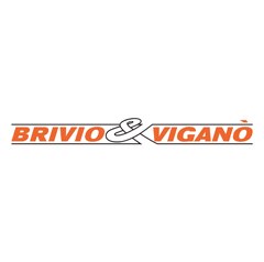 Brivio & Viganò logo Brivio & Viganò logo