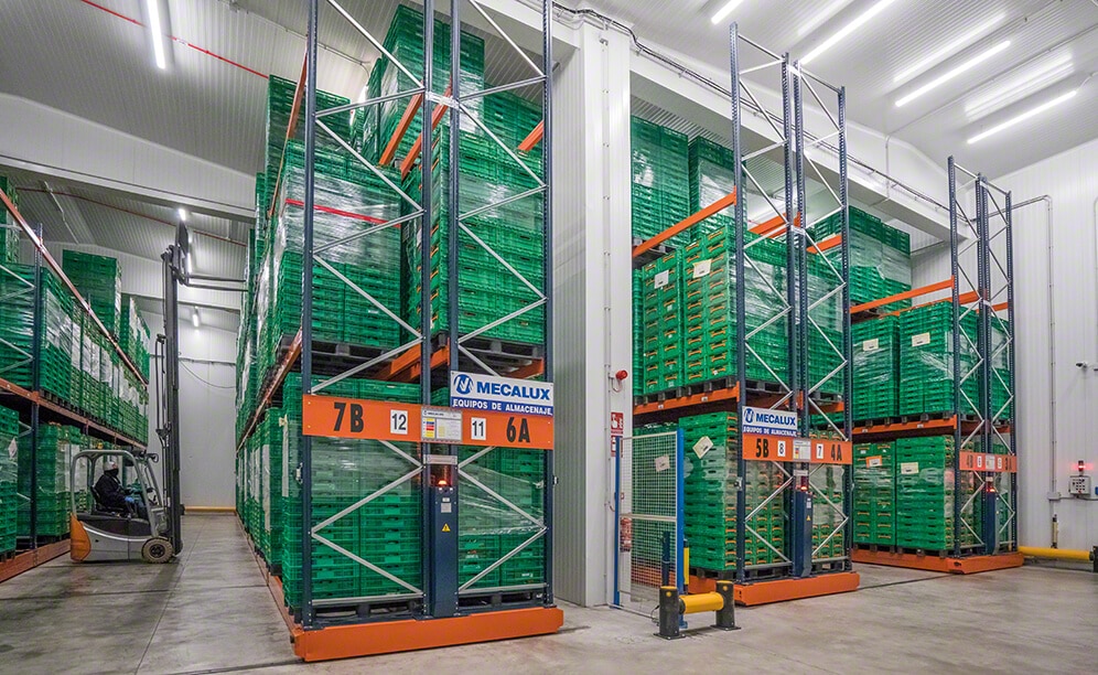 Magazyn sektorowy do składowania produktów firmy GAC w niskiej temperaturze Magazyn sektorowy do składowania produktów firmy GAC w niskiej temperaturze